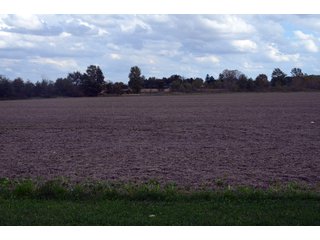 Property photo 71 - EHLE FARMS AUCTION - 118+/- ACRES IN 9 TRACTS IN ALLEN COUNTY, INDIANA